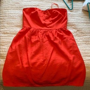 LOFT brand new with tags dress